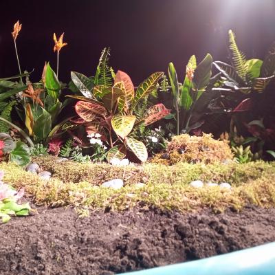 Teracube 20211113 120718 201